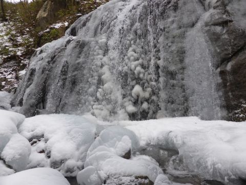 2017-1-17-6.jpg