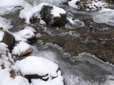 2017-1-17-7.jpg
