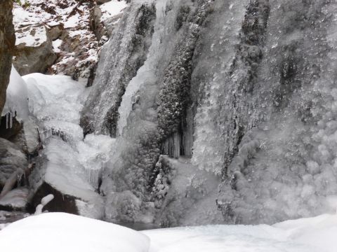 2017-1-17-9.jpg