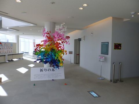 2017-1-18-9.jpg