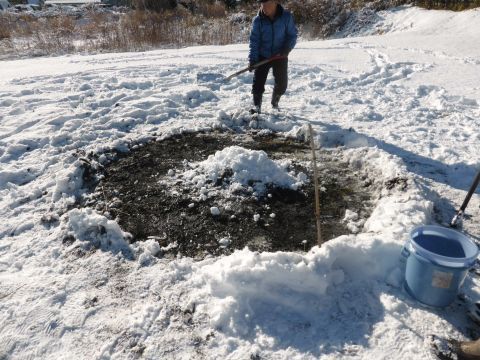 2017-1-23-10.jpg