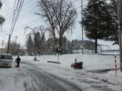 2017-1-24-4.jpg