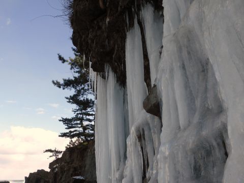 2017-1-27-6.jpg