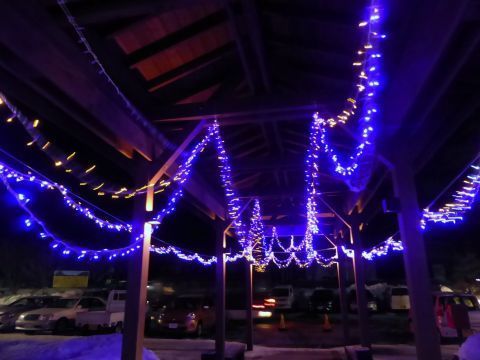 2017-1-31-12.jpg