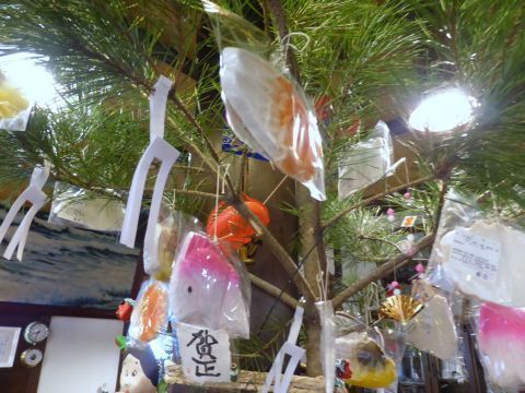2017-1-4-4.jpg