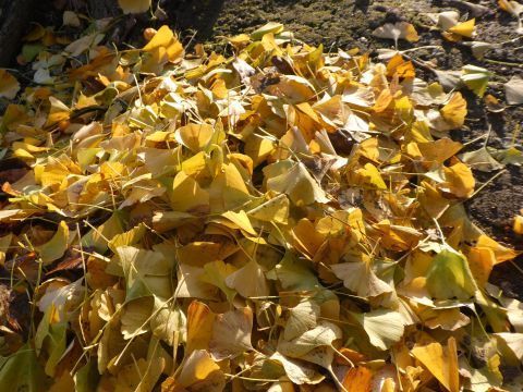 2017-10-29-8.jpg