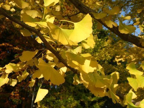 2017-10-29-9.jpg