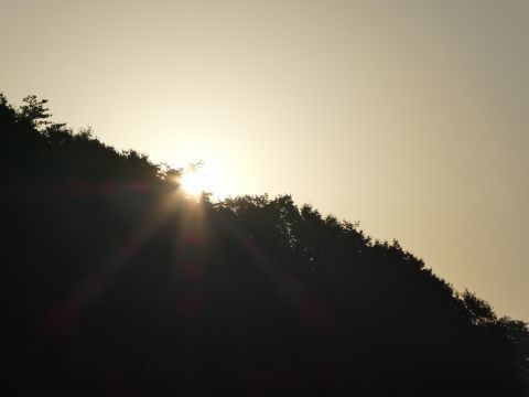 2017-11-1-4.jpg
