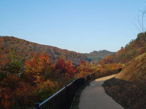 2017-11-1-6.jpg