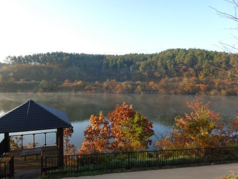2017-11-1-8.jpg