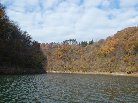 2017-11-22-7.jpg