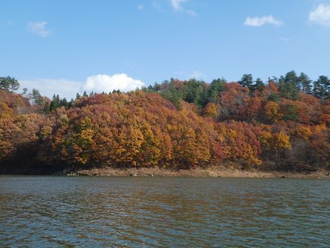 2017-11-23-6.jpg