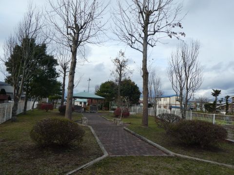 2017-11-25-12.jpg