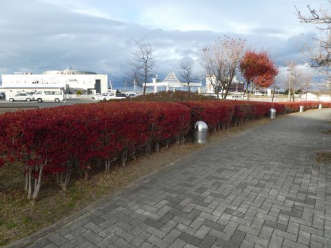 2017-11-25-14.jpg