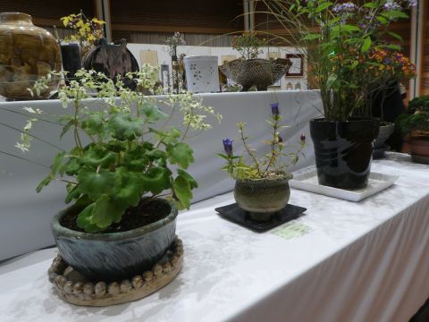 2017-11-4-8.jpg