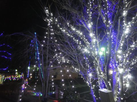 2017-12-11-9.jpg