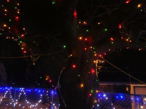 2017-12-13-7.jpg