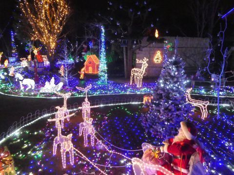 2017-12-19-14.jpg