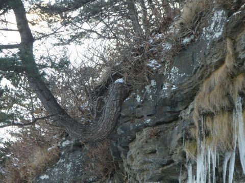 2017-12-28-5.jpg