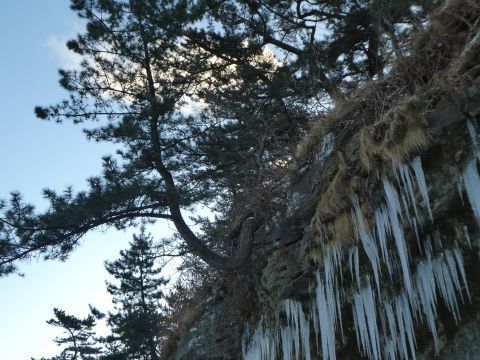 2017-12-28-6.jpg