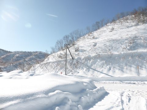 2017-2-13-1.jpg