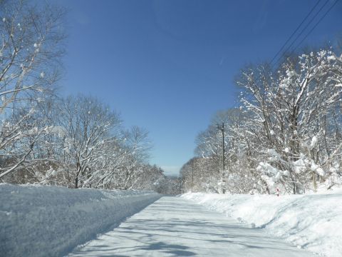 2017-2-13-7.jpg