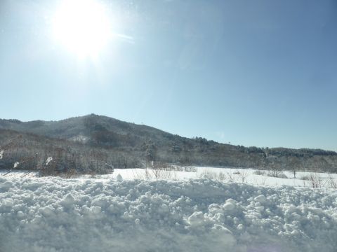2017-2-13-8.jpg
