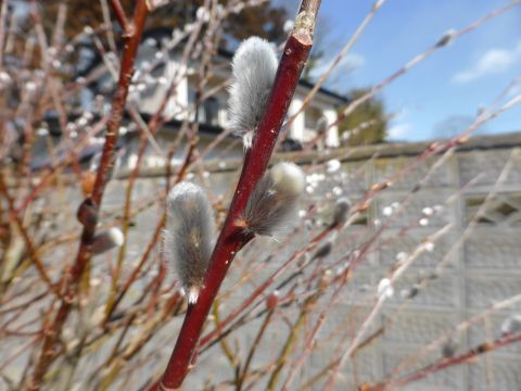 2017-2-19-9.jpg