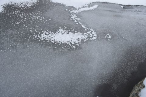 2017-2-4-4.jpg