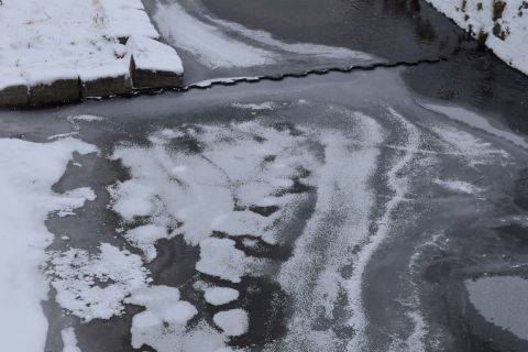 2017-2-4-7.jpg