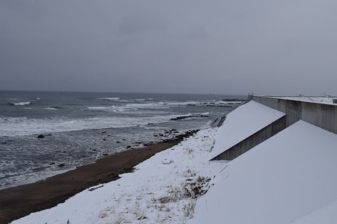 2017-2-5-3.jpg