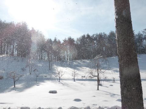 2017-2-8-11.jpg