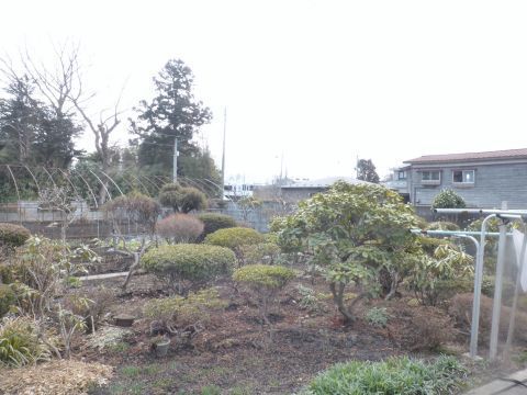 2017-3-14-10.jpg