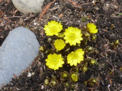 2017-3-14-2.jpg