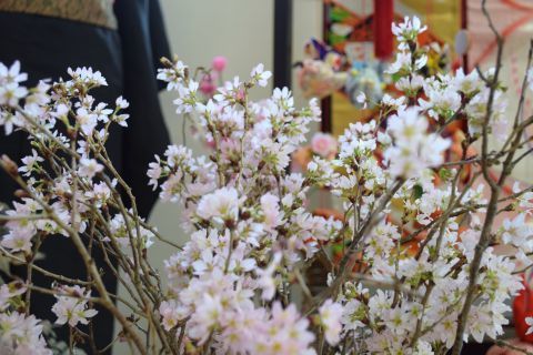 2017-3-27-7.jpg