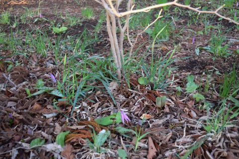 2017-4-21-5.jpg