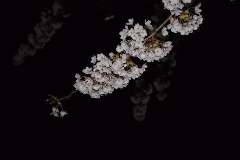 2017-4-22-10.jpg