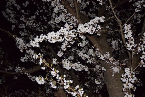 2017-4-22-2.jpg