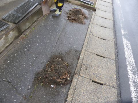 2017-4-24-4.jpg