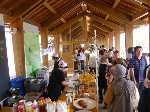 2017-4-29-8.jpg