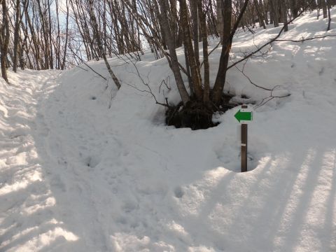 2017-4-4-3.jpg