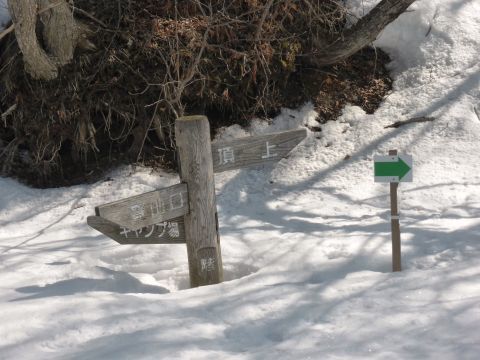 2017-4-4-4.jpg