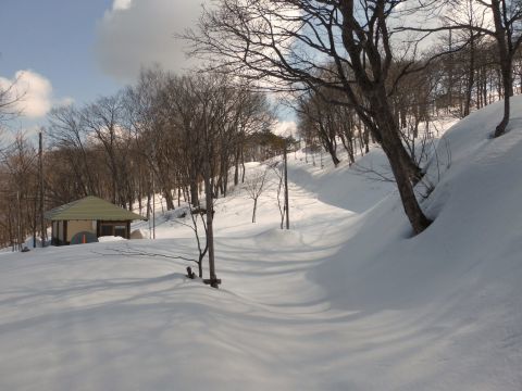 2017-4-4-6.jpg