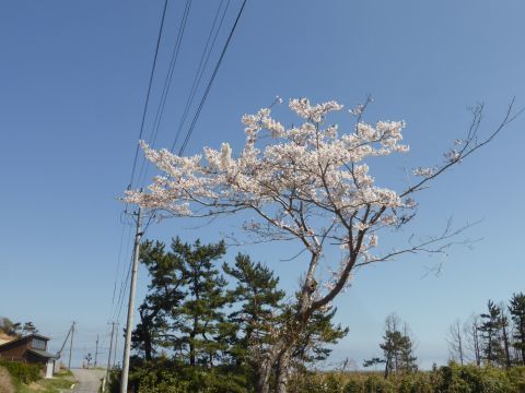2017-5-1-2.jpg