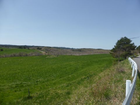 2017-5-12-5.jpg