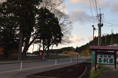 2017-5-17-5.jpg