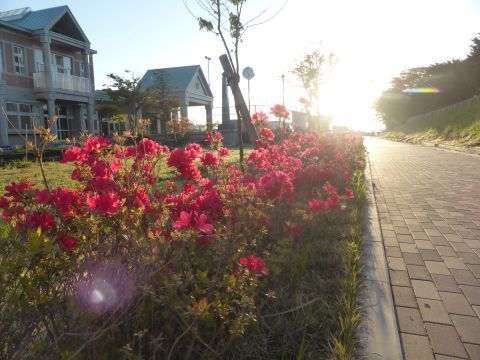 2017-5-23-9.jpg