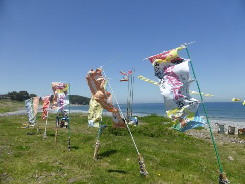 2017-5-24-1.jpg