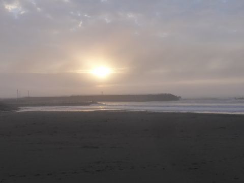 2017-5-27-1.jpg