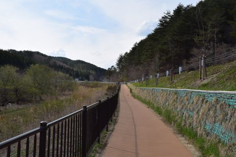 2017-5-3-3.jpg